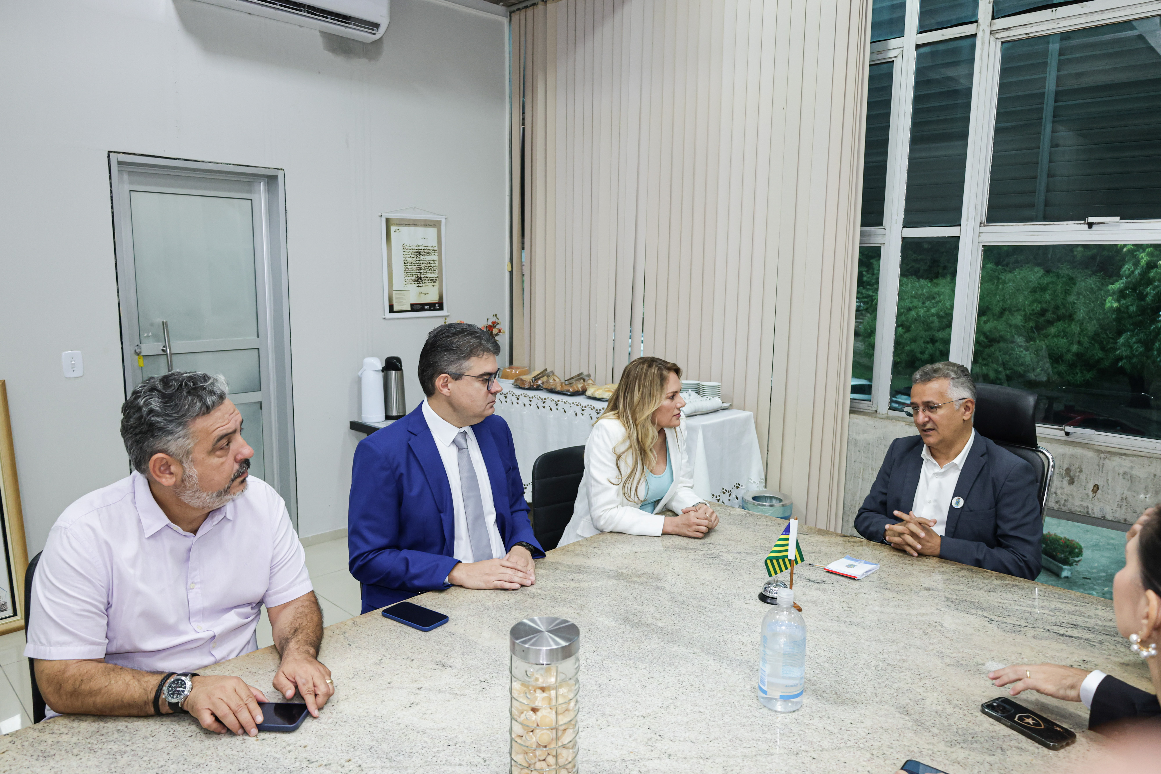 REUNIÃO UESPI.jpg