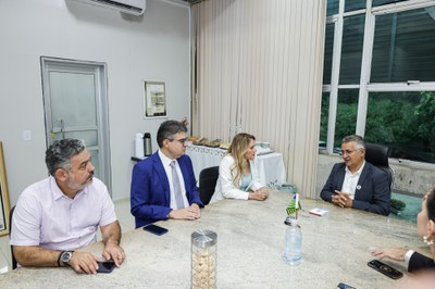 REUNIÃO UESPI.jpg