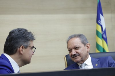 SESSÃO ORDINÁRIA  (222).jpg