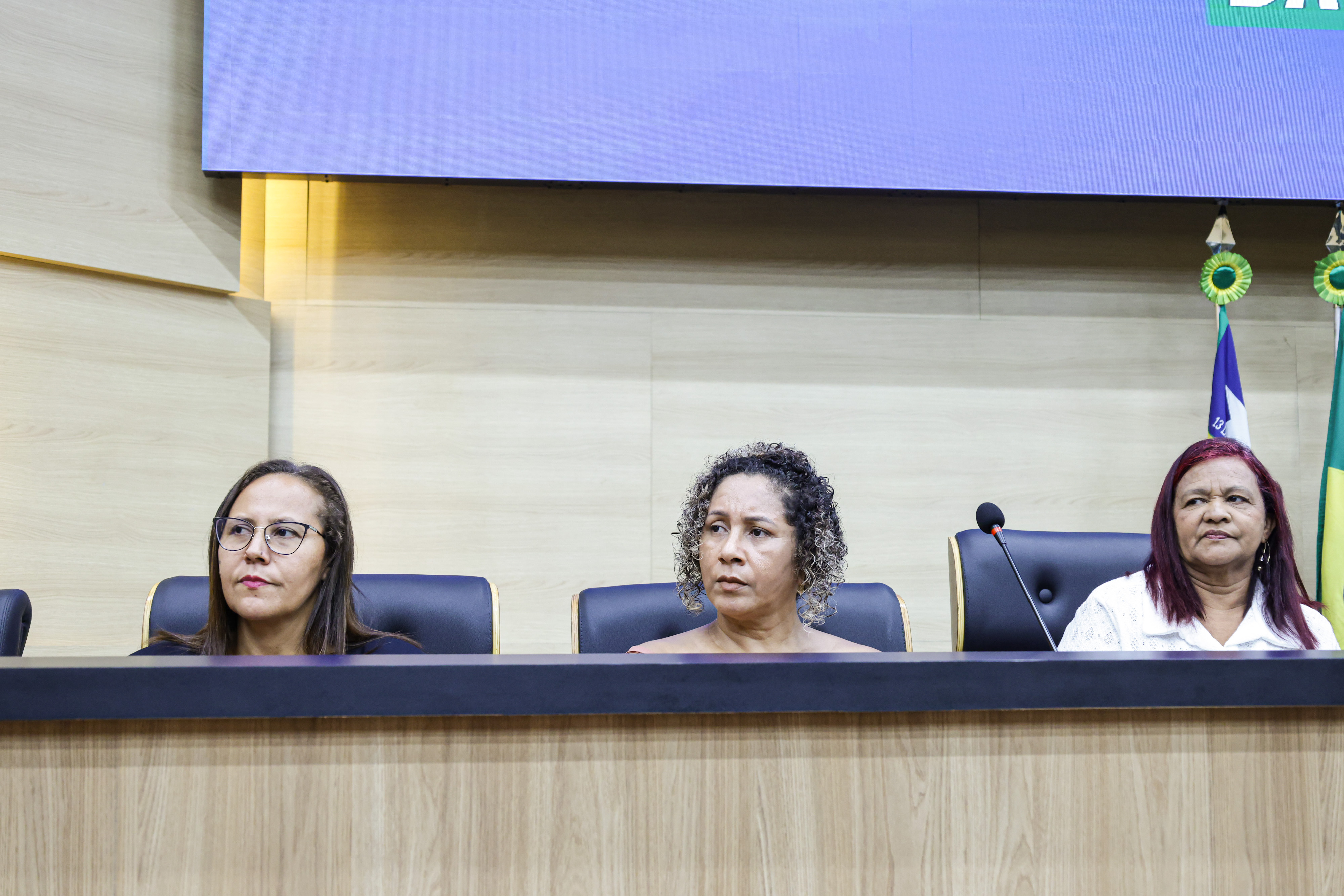 SESSÃO SOLENE EM HOMENAGEM AO DIA DA EMPREGADA DOMÉSTICA  (2).jpg