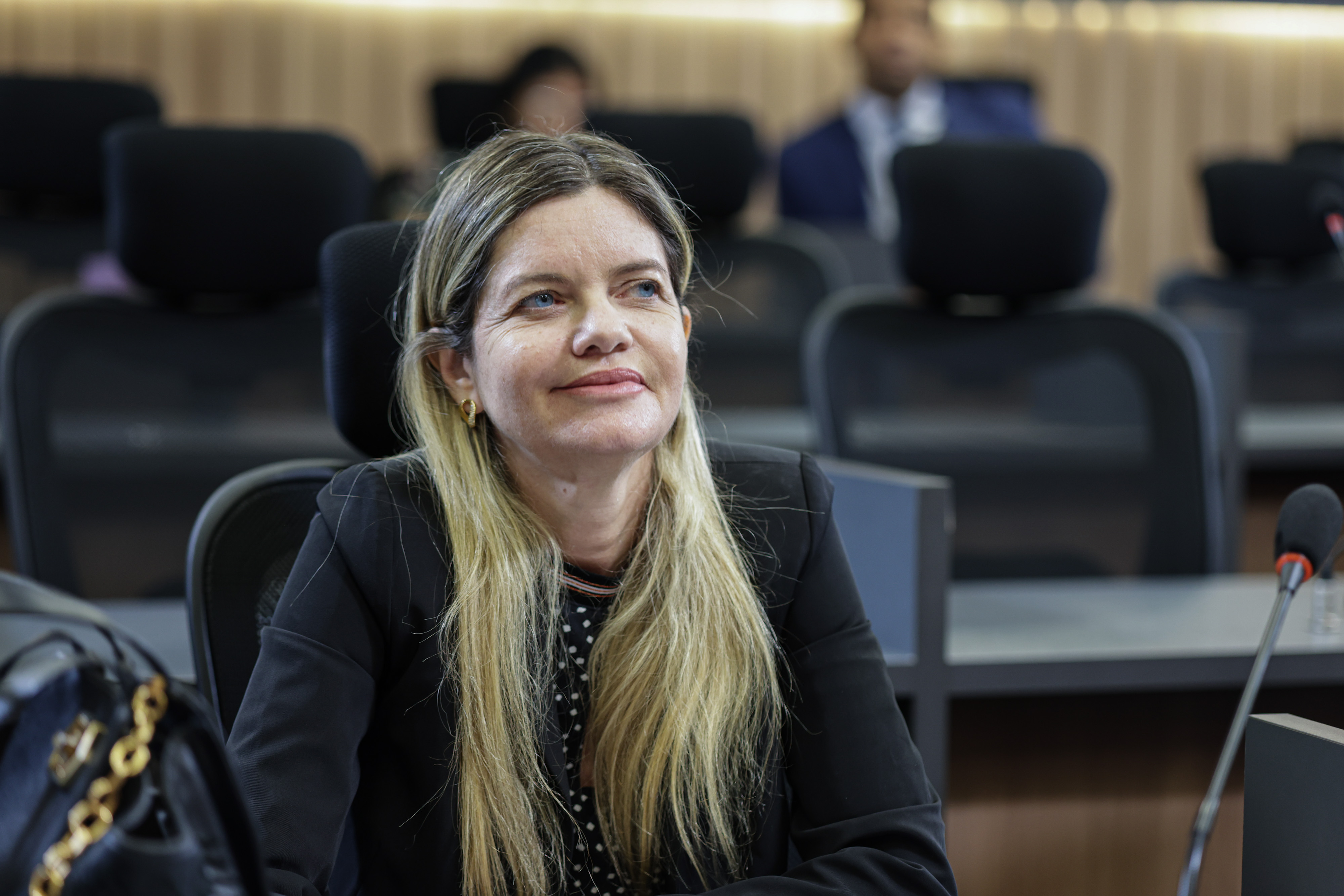 REUNIÃO DA COMISSÃO DE SAÚDE EDUCAÇÃO E CULTURA (11).jpg