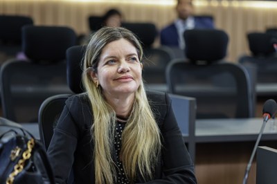 REUNIÃO DA COMISSÃO DE SAÚDE EDUCAÇÃO E CULTURA (11).jpg