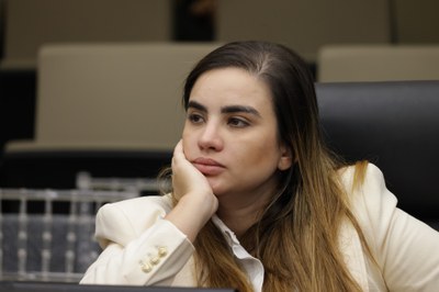 SESSÃO ORDINÁRIA  (300).jpg