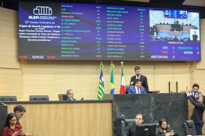 SESSÃO PLENÁRIA  20.05.jpg