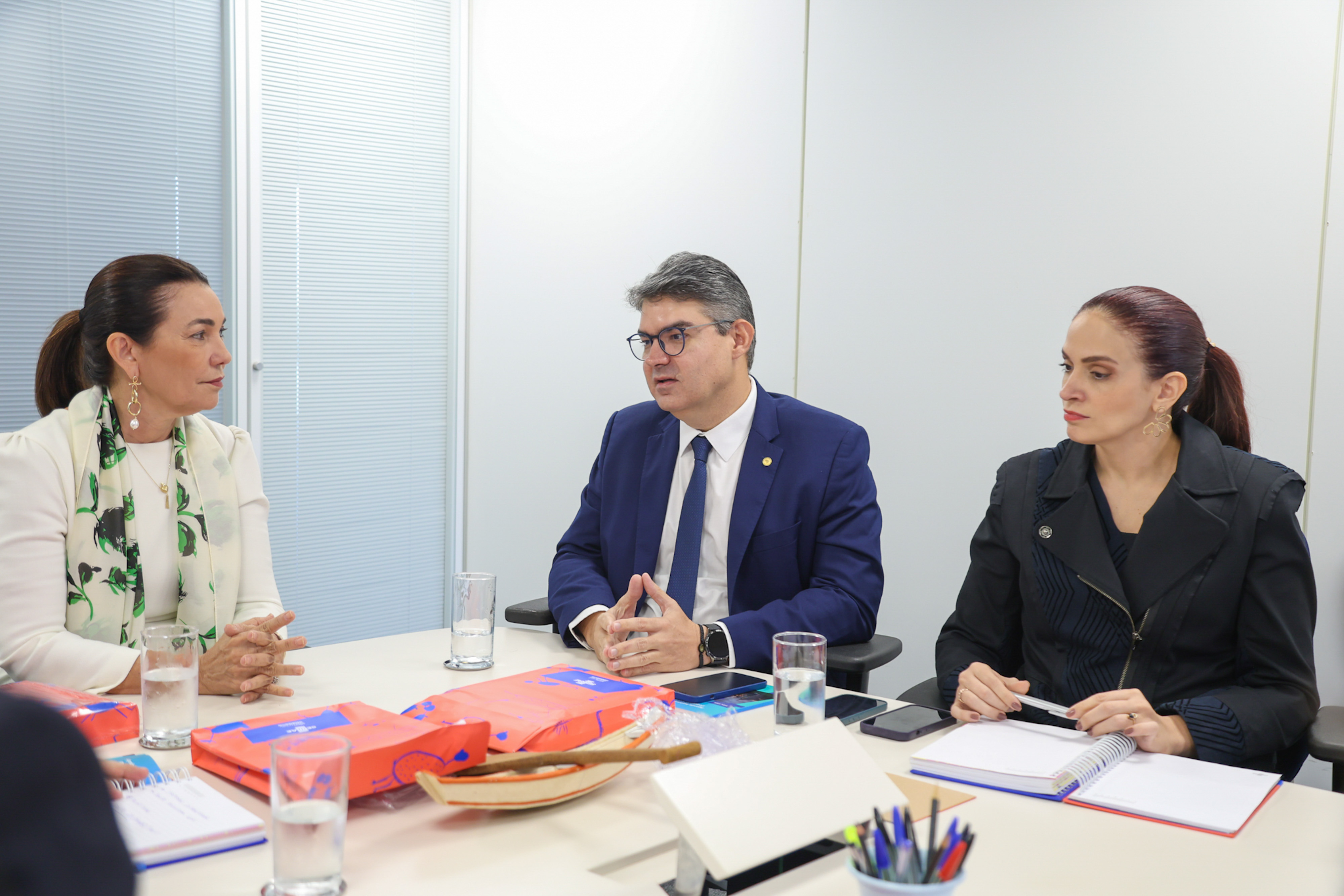 REUNIÃO PRESIDENTE SEVERO EULÁLIO E MARGARETE COELHO SEBRAE BRASÍLIA  (15).jpg