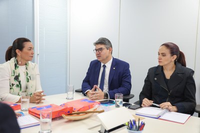 REUNIÃO PRESIDENTE SEVERO EULÁLIO E MARGARETE COELHO SEBRAE BRASÍLIA  (15).jpg