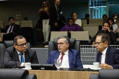 SESSÃO ORDINÁRIA  (331).jpg