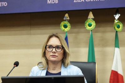 SESSÃO ORDINÁRIA  (333).jpg
