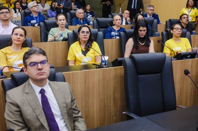SESSÃ SOLENE EM  HOMENAGEM A FECOMERCIO  (7).jpg