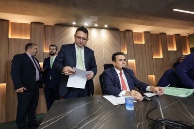 REUNIÃO DA COMISSÃO DE CONSTITUIÇÃO E JUSTIÇA (4).jpg