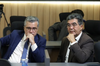 REUNIÃO DA COMISSÃO DE FISCALIZAÇÃO E CONTROLE FINANÇAS E TRIBUTAÇÃO (2).jpg