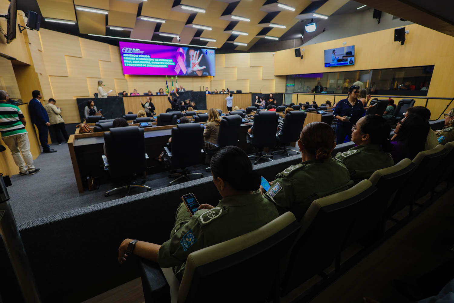 AUDIÊNCIA PÚBLUCA SOBRE O FEMINICÍDIO  (10).jpg