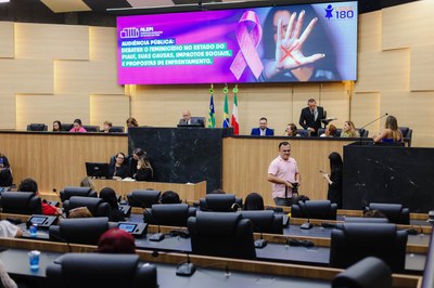 AUDIÊNCIA PÚBLUCA SOBRE O FEMINICÍDIO  (13).jpg