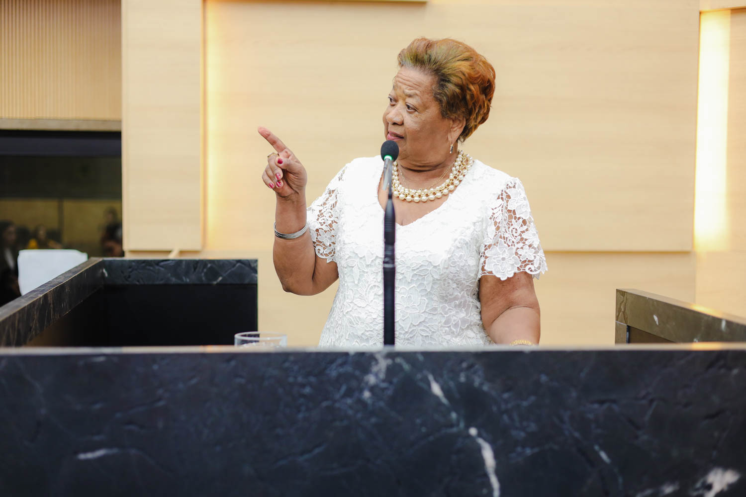 AUDIÊNCIA PÚBLUCA SOBRE O FEMINICÍDIO  (16).jpg