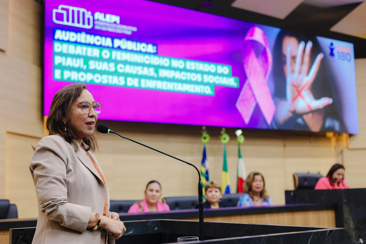AUDIÊNCIA PÚBLUCA SOBRE O FEMINICÍDIO  (19).jpg