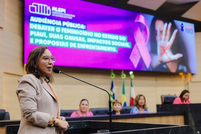 AUDIÊNCIA PÚBLUCA SOBRE O FEMINICÍDIO  (19).jpg