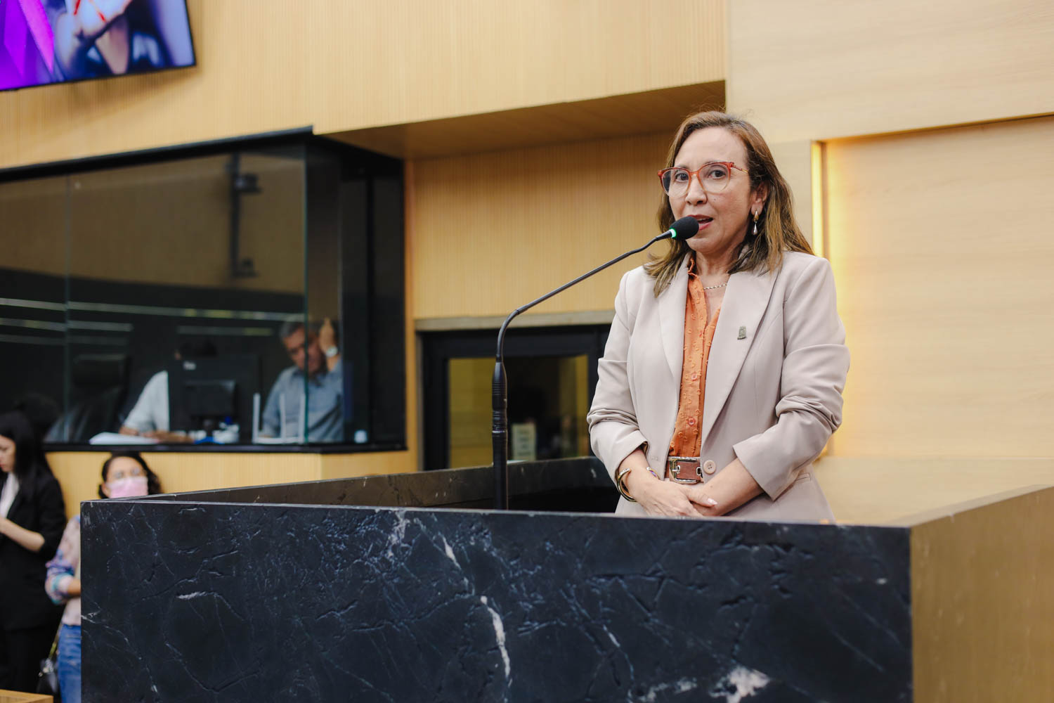 AUDIÊNCIA PÚBLUCA SOBRE O FEMINICÍDIO  (20).jpg