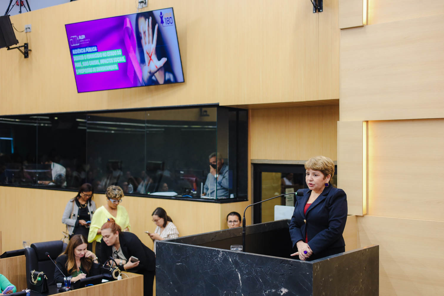 AUDIÊNCIA PÚBLUCA SOBRE O FEMINICÍDIO  (21).jpg