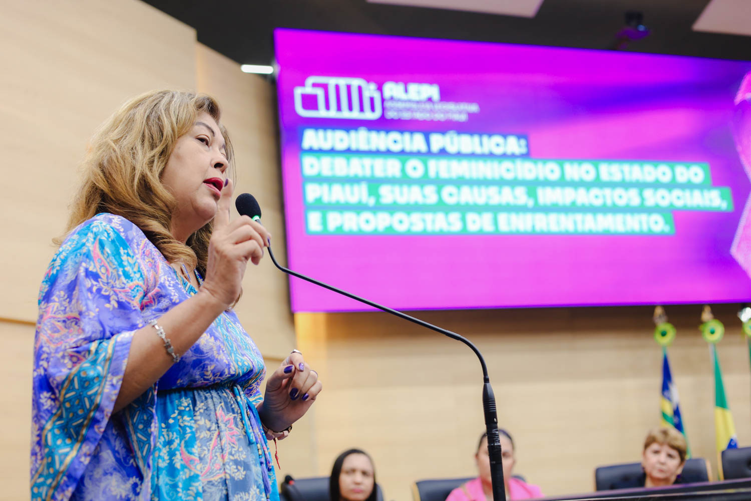 AUDIÊNCIA PÚBLUCA SOBRE O FEMINICÍDIO  (22).jpg