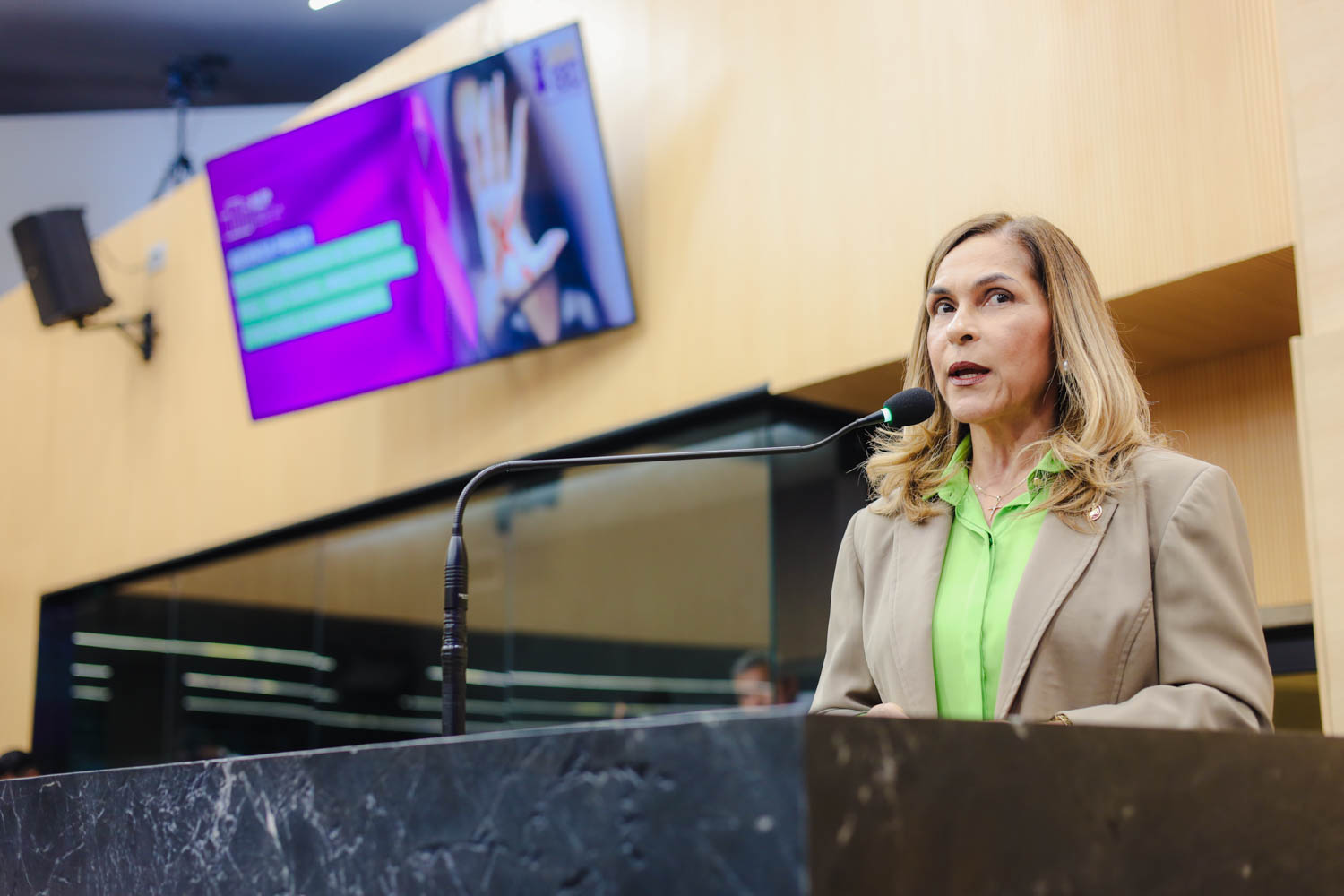 AUDIÊNCIA PÚBLUCA SOBRE O FEMINICÍDIO  (24).jpg