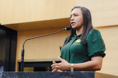 AUDIÊNCIA PÚBLUCA SOBRE O FEMINICÍDIO  (27).jpg