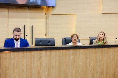 AUDIÊNCIA PÚBLUCA SOBRE O FEMINICÍDIO  (29).jpg