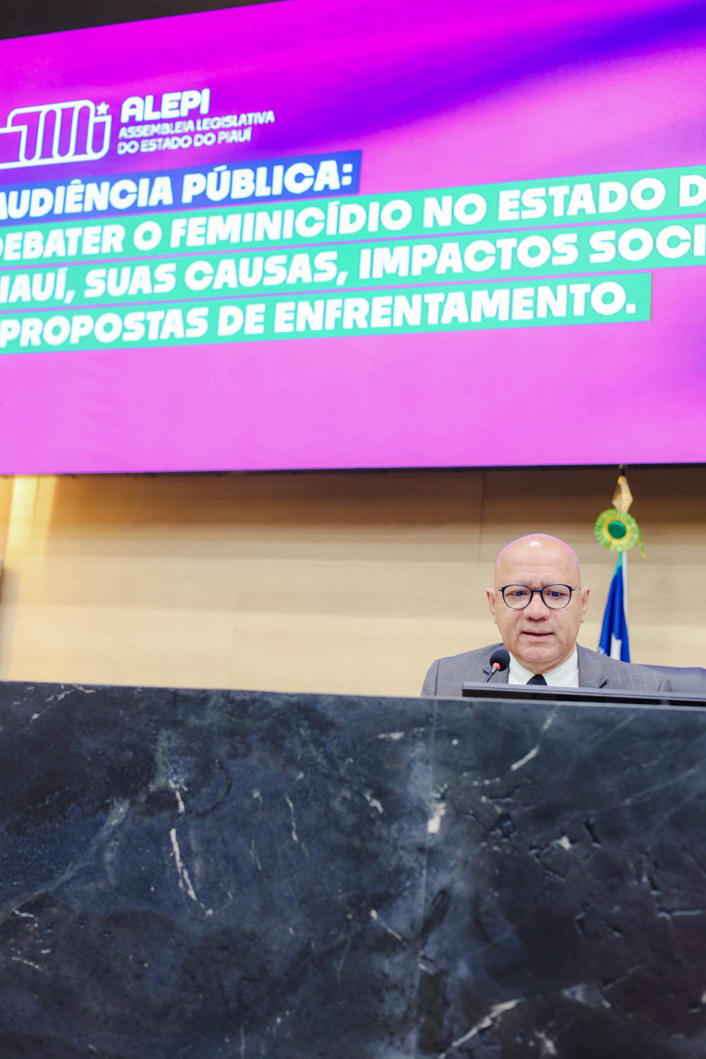 AUDIÊNCIA PÚBLUCA SOBRE O FEMINICÍDIO  (3).jpg