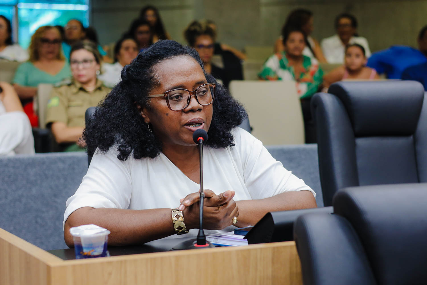 AUDIÊNCIA PÚBLUCA SOBRE O FEMINICÍDIO  (31).jpg