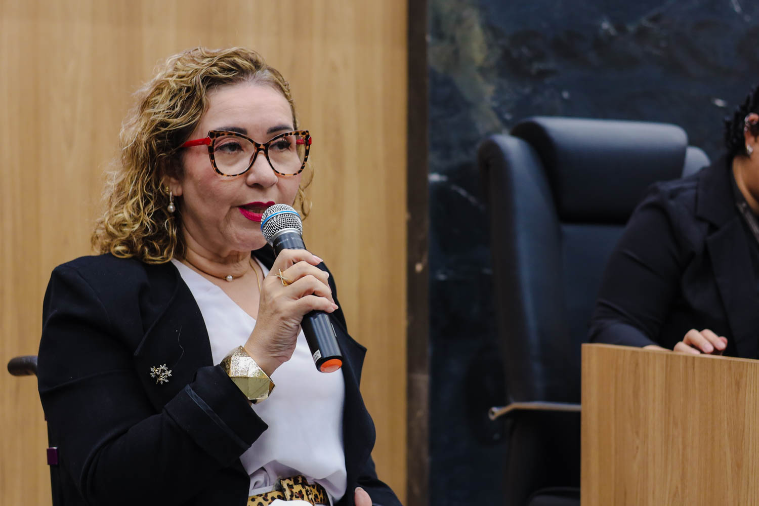 AUDIÊNCIA PÚBLUCA SOBRE O FEMINICÍDIO  (34).jpg