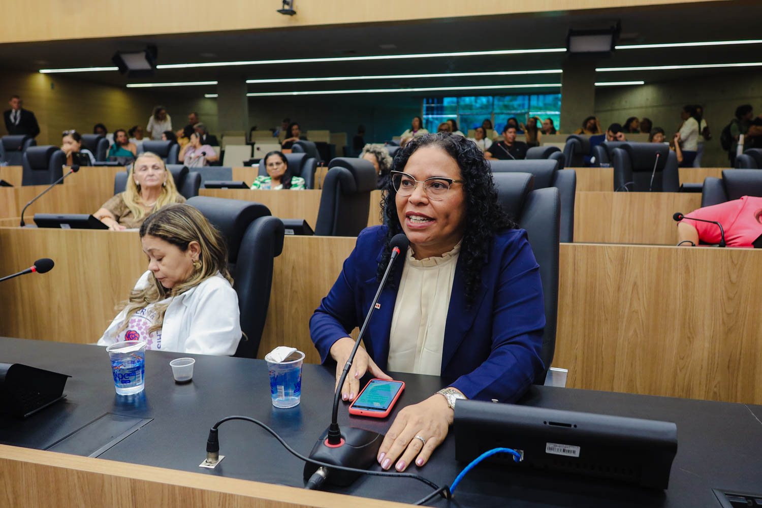 AUDIÊNCIA PÚBLUCA SOBRE O FEMINICÍDIO  (37).jpg