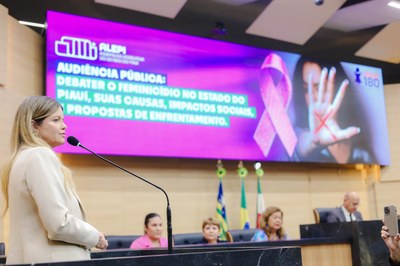 AUDIÊNCIA PÚBLUCA SOBRE O FEMINICÍDIO  (4).jpg