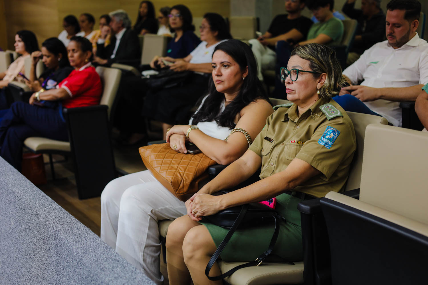 AUDIÊNCIA PÚBLUCA SOBRE O FEMINICÍDIO  (6).jpg