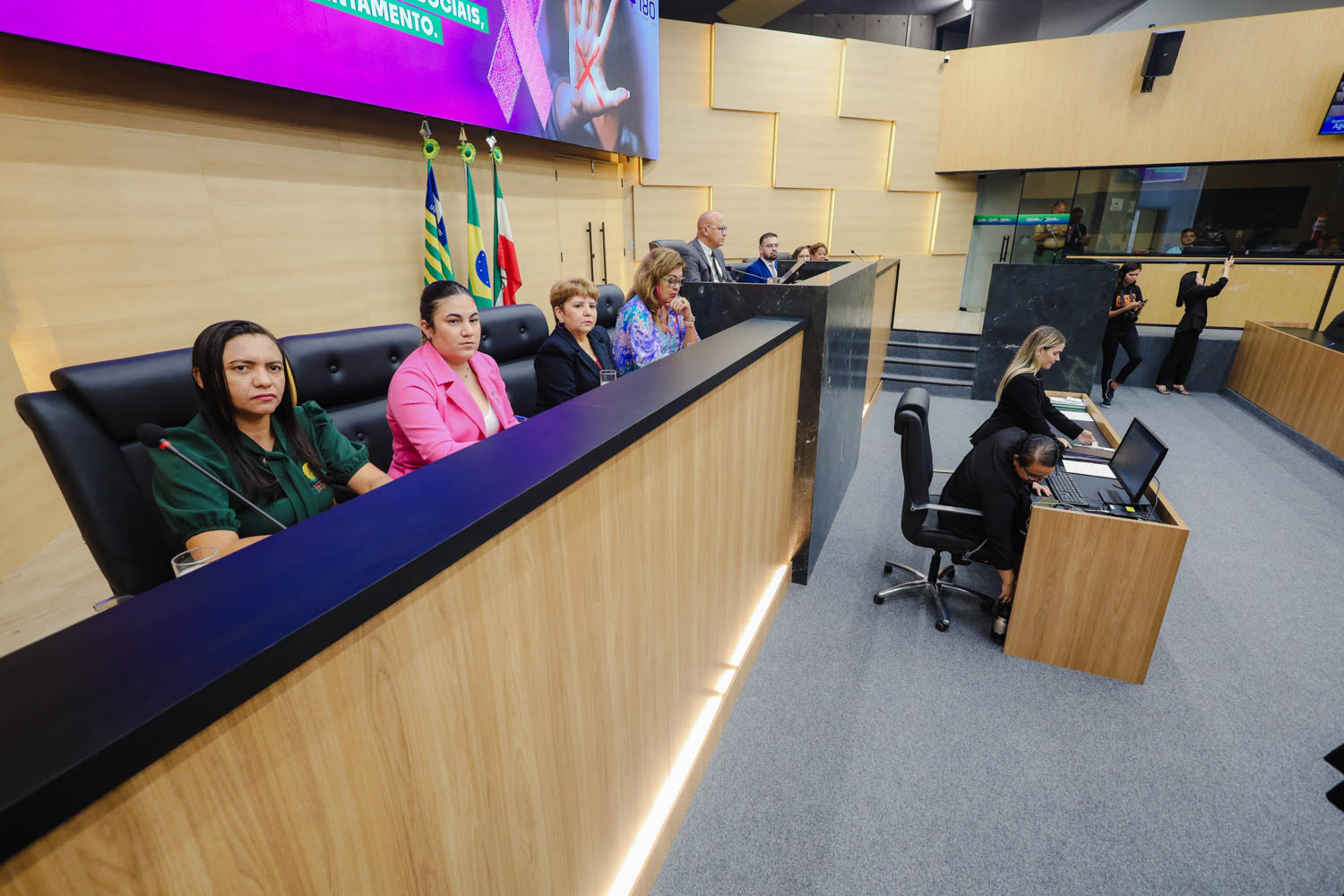 AUDIÊNCIA PÚBLUCA SOBRE O FEMINICÍDIO  (9).jpg