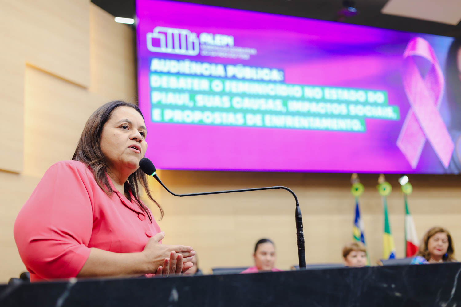 AUDIÊNCIA PÚBLUCA SOBRE O FEMINICÍDIO  ELISANGELA MOURA (2).jpg