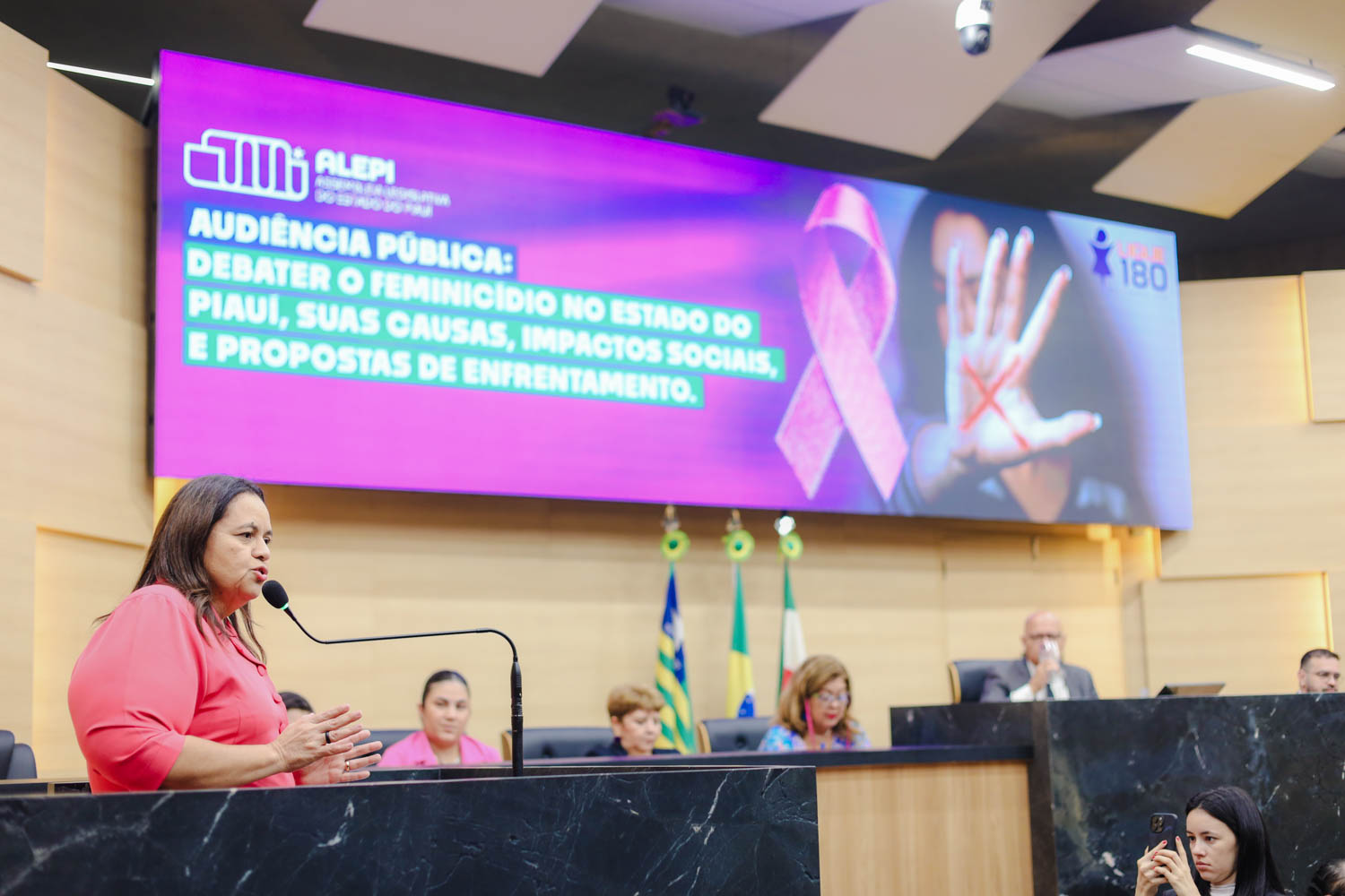 AUDIÊNCIA PÚBLUCA SOBRE O FEMINICÍDIO  ELISANGELA MOURA (3).jpg