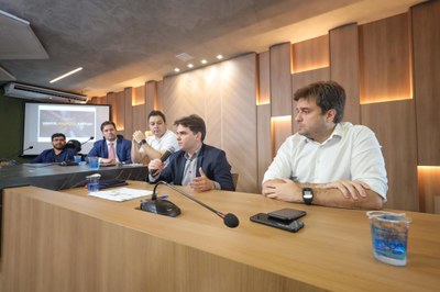 APRESENTAÇÃO AVANÇA ALEPI PARA DIRETORIA FINANCEIRA E DIRETORIA GERAL 28.03 (5).jpeg