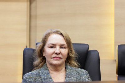SESSÃO SOLENE TÍTULO DE CIDADANIA DE LEANDRO ANTONIO GRASS PEIXOTO (13).jpg