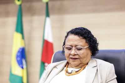 SESSÃO SOLENE TÍTULO DE CIDADANIA DE LEANDRO ANTONIO GRASS PEIXOTO (14).jpg