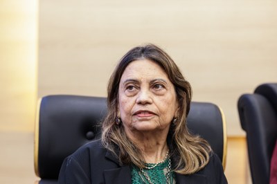 SESSÃO SOLENE TÍTULO DE CIDADANIA DE LEANDRO ANTONIO GRASS PEIXOTO (15).jpg