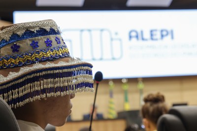 SESSÃO SOLENE TÍTULO DE CIDADANIA DE LEANDRO ANTONIO GRASS PEIXOTO (30).jpg