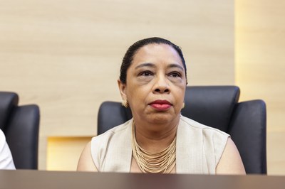 SESSÃO SOLENE TÍTULO DE CIDADANIA DE LEANDRO ANTONIO GRASS PEIXOTO (9).jpg