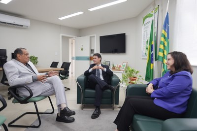 VISITA DE CORTESIA À DEFENSORA GERAL DO ESTADO CARLA YASCAR (5).jpg