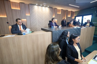 REUNIÃO DAS COMISSÕES CONJUNTAS. JUSTIÇA E SAÚDE (1).jpg