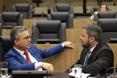 SESSÃO ORDINÁRIA  DEPUTADO DR VINICIUS  E DEPUTADO FÁBIO NOVO.jpg
