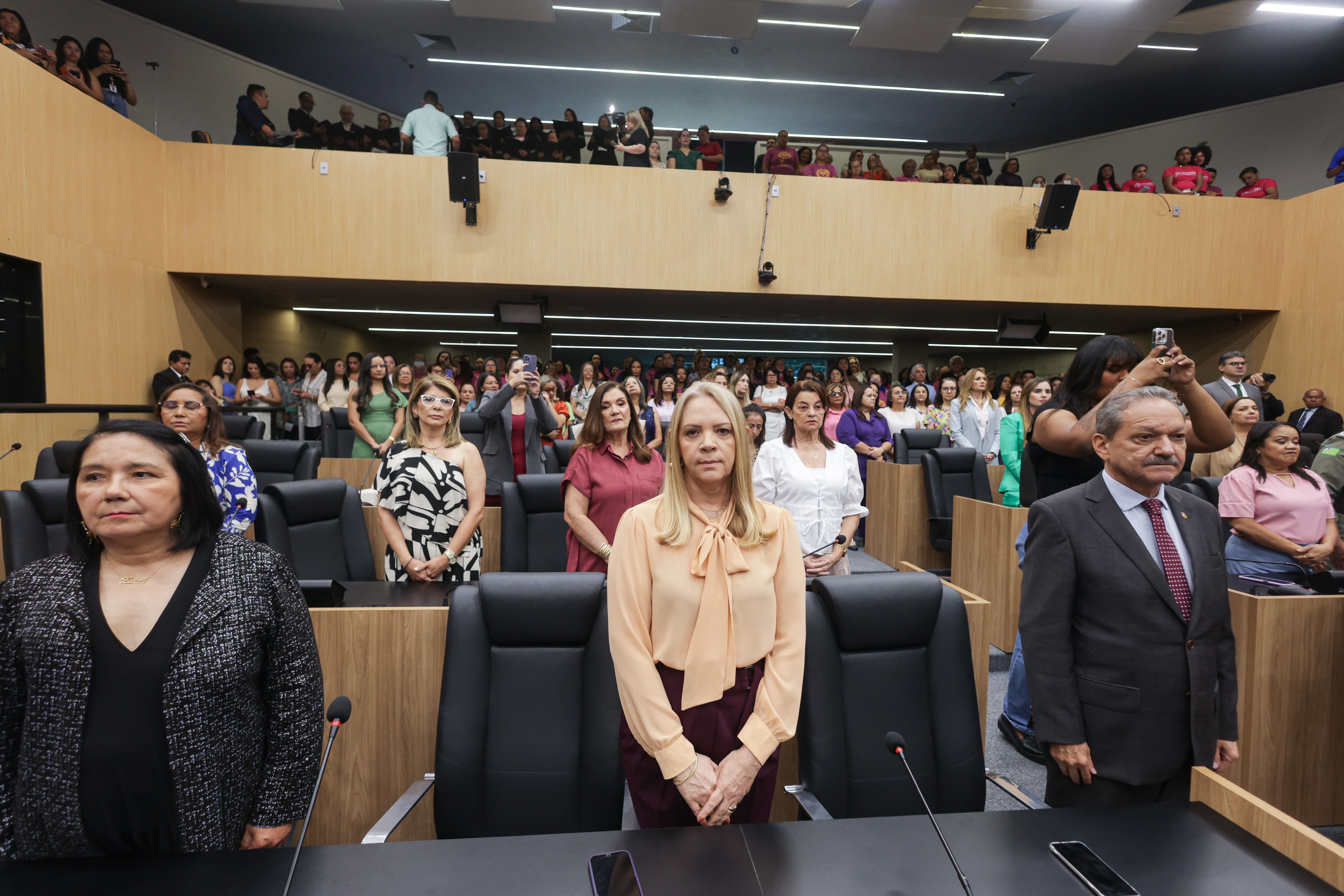 SESSÃO SOLENE ESPECIAL MÊS DAS MULHERES NA ALEPI (47).jpg