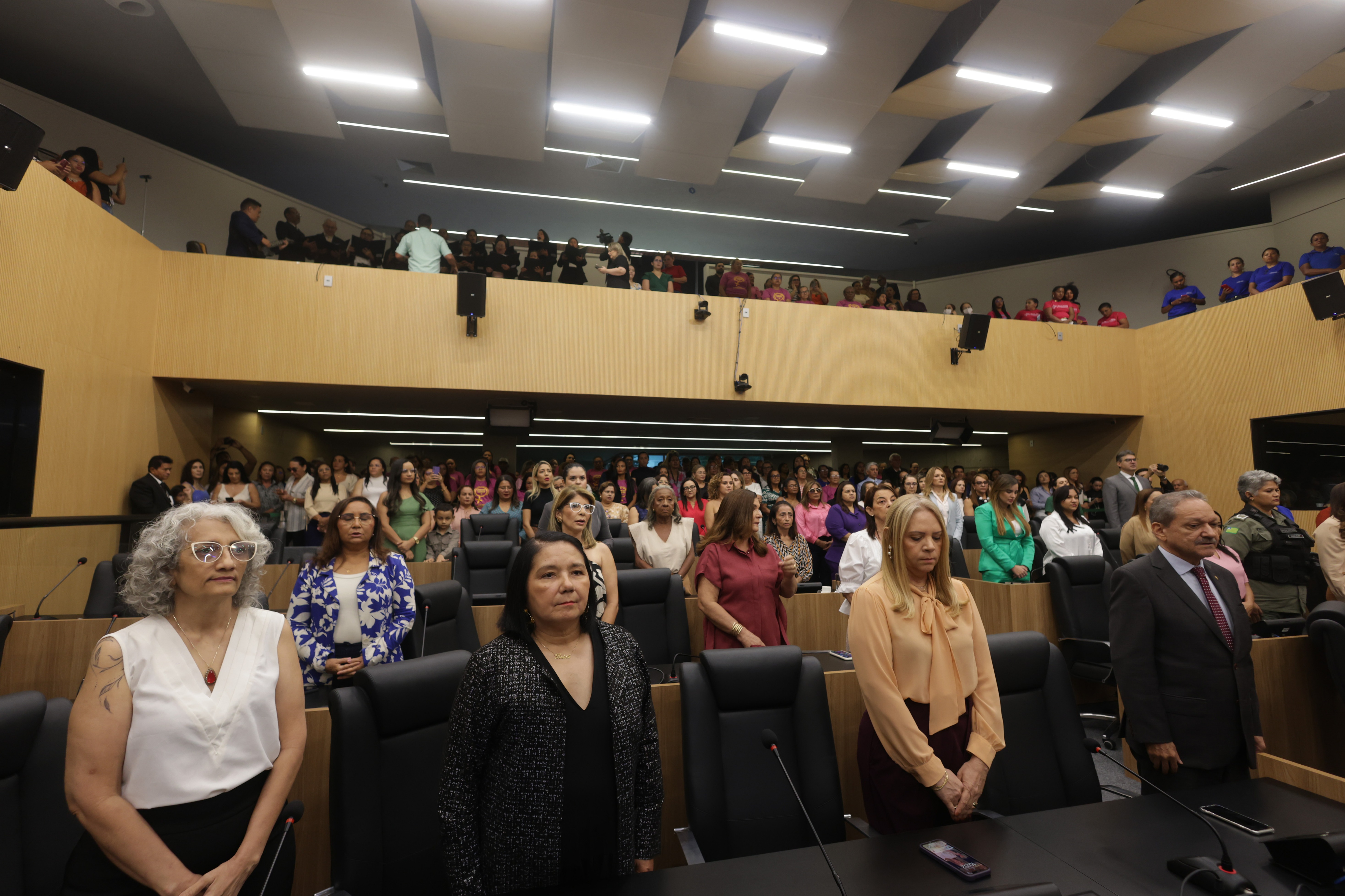 SESSÃO SOLENE ESPECIAL MÊS DAS MULHERES NA ALEPI (48).jpg