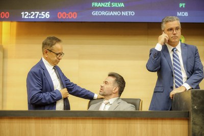 SESSÃO PLENÁRIA DO DIA 25.03 (3).jpg