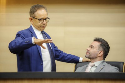 SESSÃO PLENÁRIA DO DIA 25.03 (4).jpg