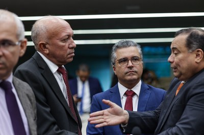 SESSÃO ORDINÁRIA  (90).jpg