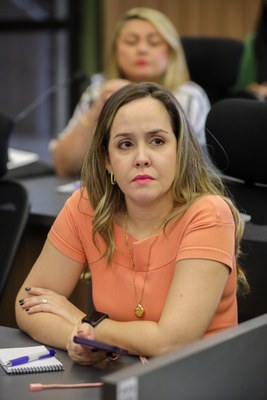 REUNIÃO COM ASSESSORES DE IMPRENSA DE DEPUTADOS NA ALEPI 31.03 (1).jpg